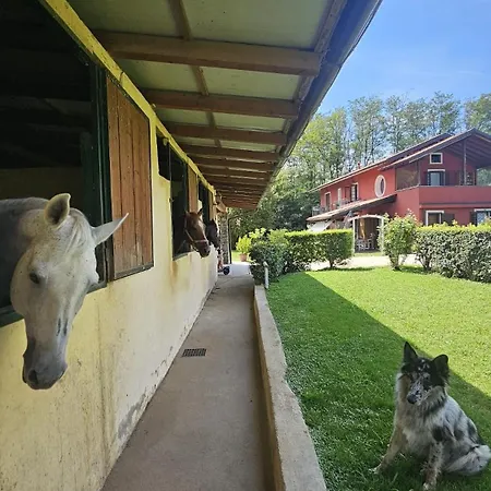 Dei Laghetti Porto Valtravaglia