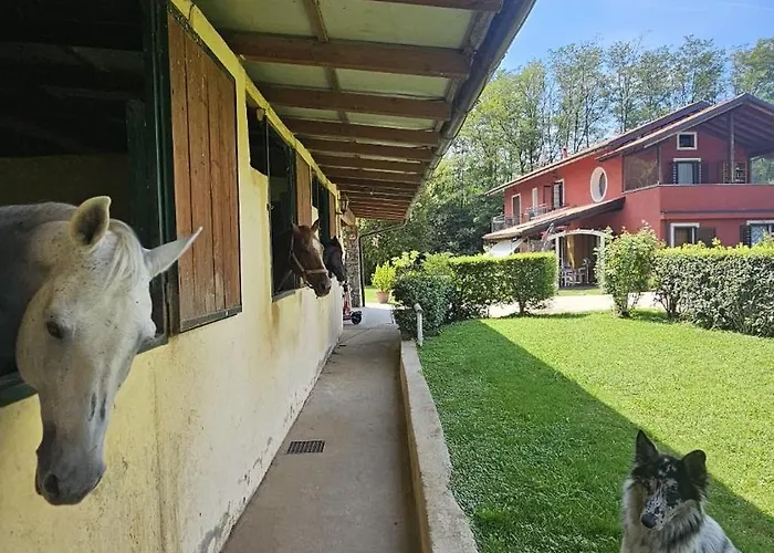 Dei Laghetti Porto Valtravaglia