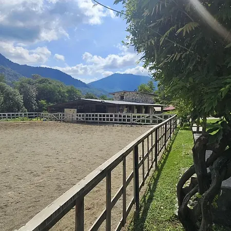 Bed & Breakfast Dei Laghetti