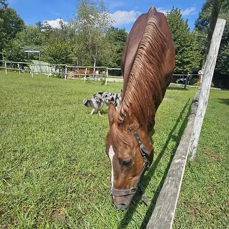Dei Laghetti 住宿加早餐酒店 波尔托瓦尔特拉瓦利亚