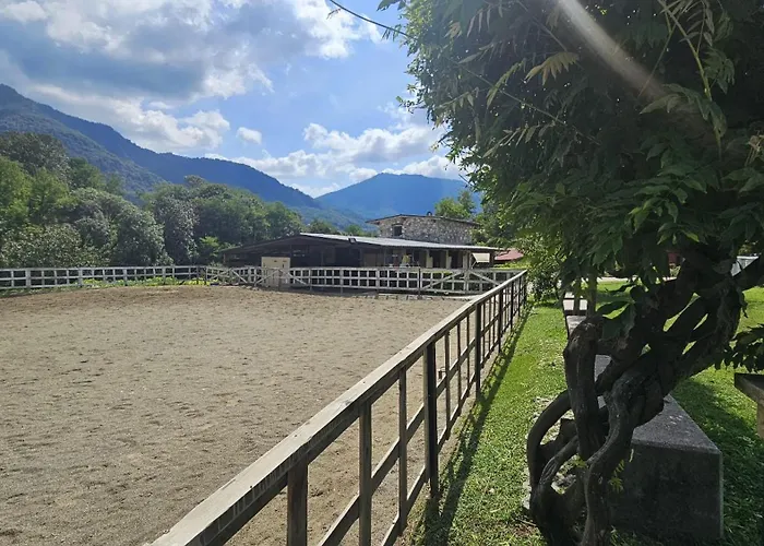 Bed & Breakfast Dei Laghetti