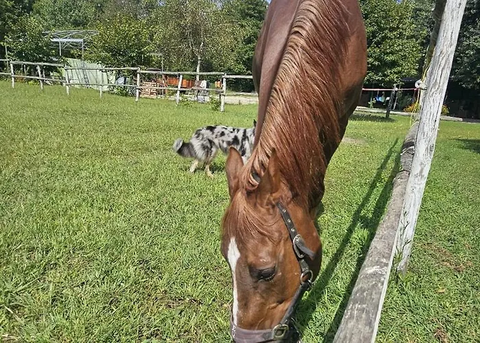 Dei Laghetti Bed & Breakfast Porto Valtravaglia